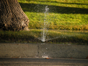Sprinkler Valve Leaks