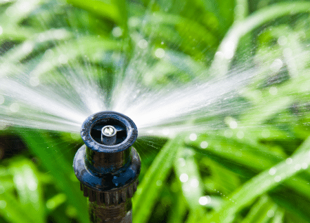 sprinkler-system