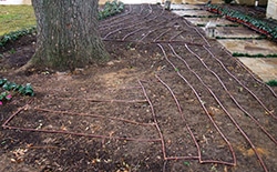 soil types for water sprinkler systems