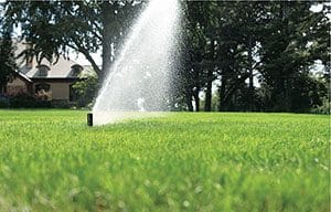 automatic-sprinkler-systems-save-water