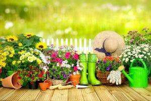 Ways Mulch Can make your Garden better