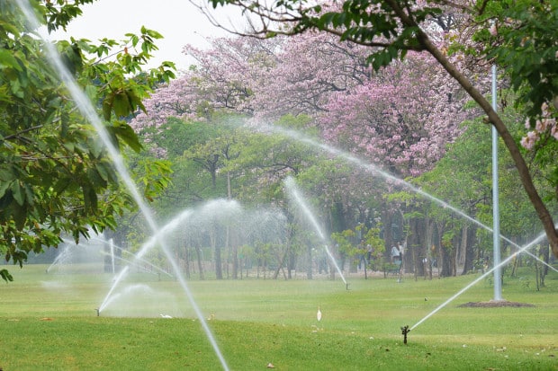 Speed of Watering, Watering Frequency, Length of watering, when to water