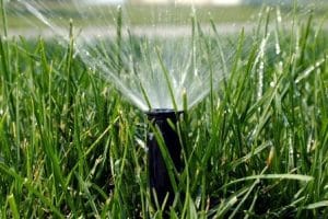 sprinkler repair drainage lighting services