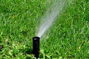Avoiding Overwatering with an Irrigation System