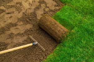 Can Your Lawn Tolerate Any More Brown Spots