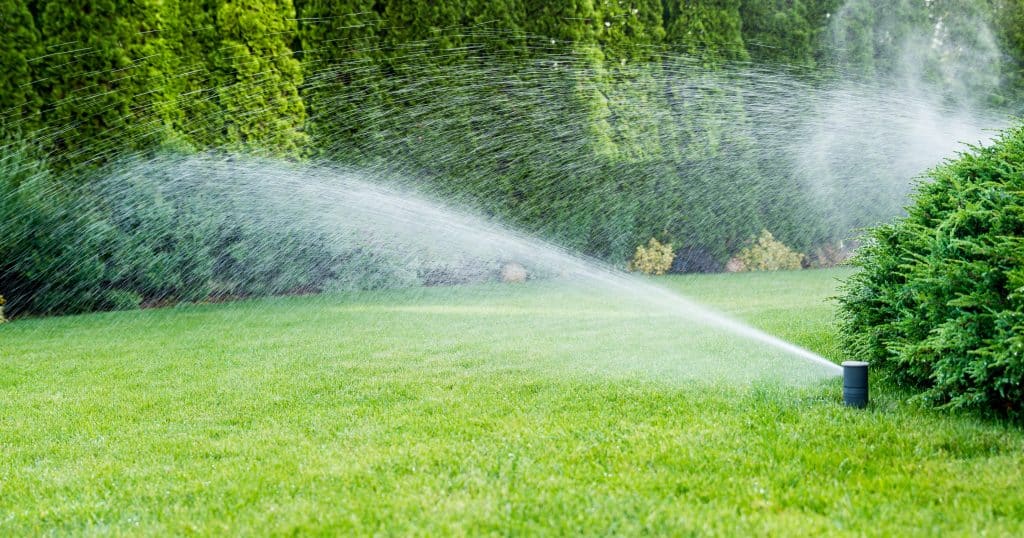 Expert Irrigation Tips to Beat Back Drought Season Andy’s