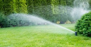 Expert Sprinkler Irrigation Tips to Beat Back Drought Season
