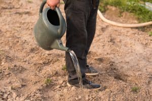 Poor Irrigation Practices Suck Away Your Cost Savings