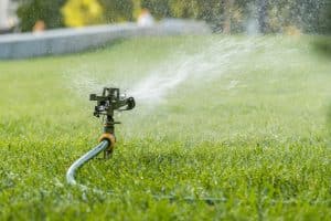 Watering Landscapes in Windy Climates