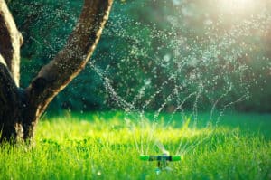 Sprinkler Repair, Irrigation, Drainage & Landscape Lighting Services Elm Mott, TX