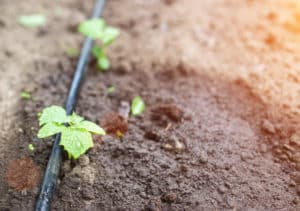 Sprinkler Repair, Irrigation, Drainage & Landscape Lighting Services McGregor, TX