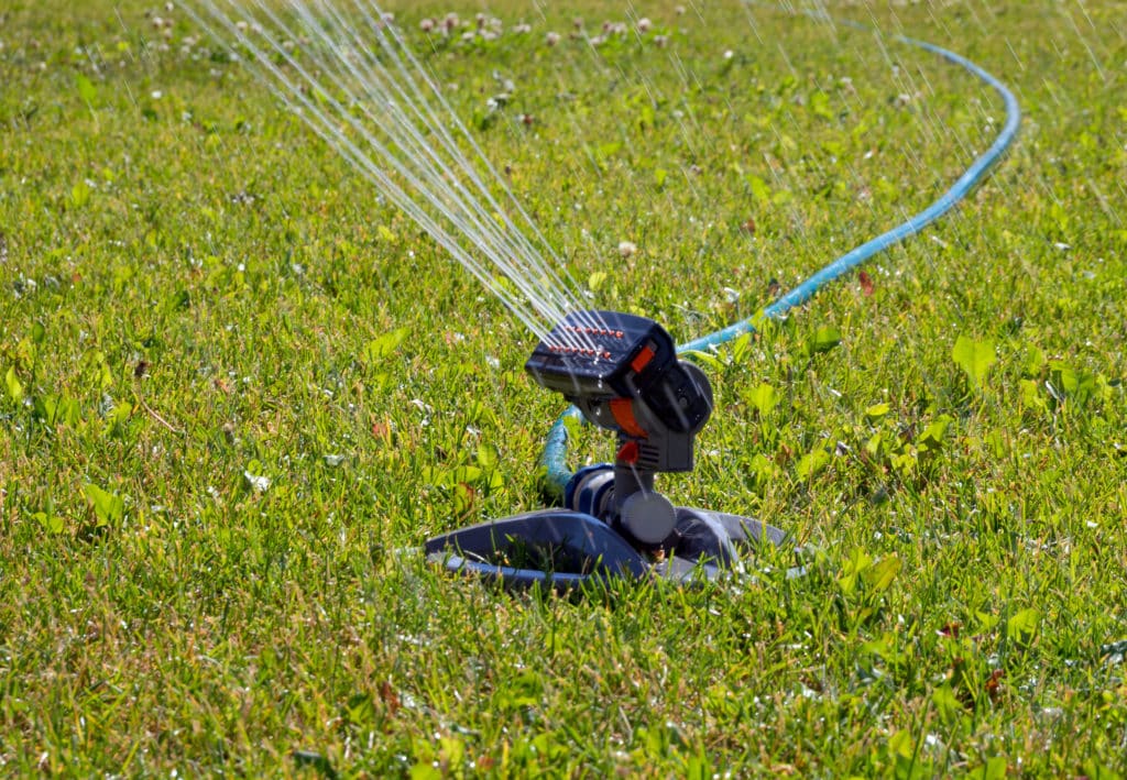Get Rid of Standing Water in Your Yard