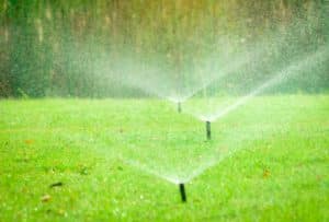 Sprinkler System Line