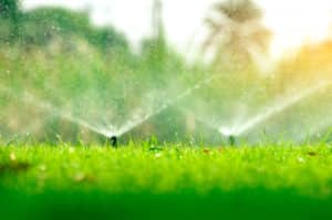 Sprinkler, Drip Irrigation, Drainage & Landscape Lighting Services Brushy Creek, TX