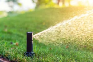 Sprinkler, Drip Irrigation, Drainage & Landscape Lighting Services Bells, TX