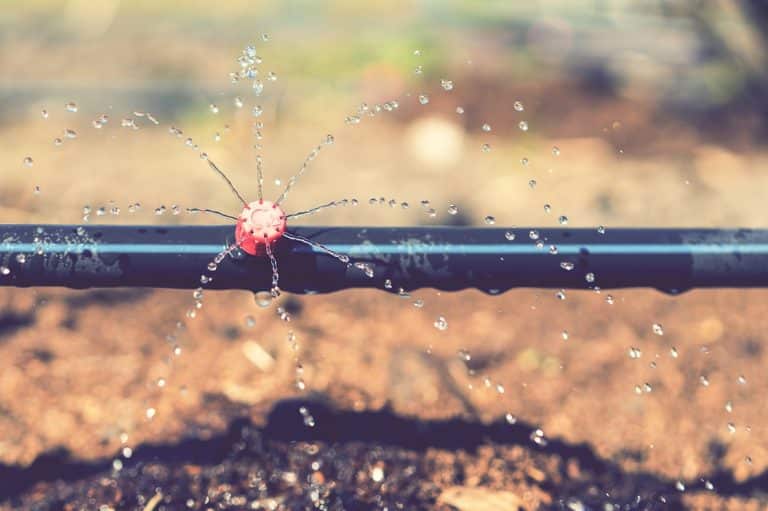 Drip Irrigation System vs. Sprinkler System Andy’s Sprinkler