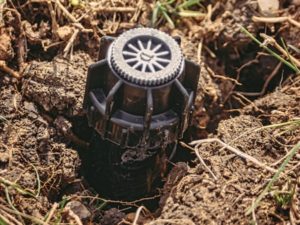 a sprinkler head in the ground
