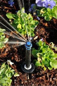 sprinkler system
